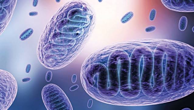 जबलपुर में बनेगा ब्लैक फंगस के मरीजों के लिए इंजेक्शन
